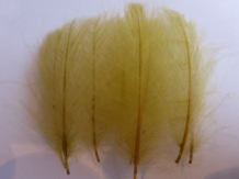 CDC Dirty yellow XL